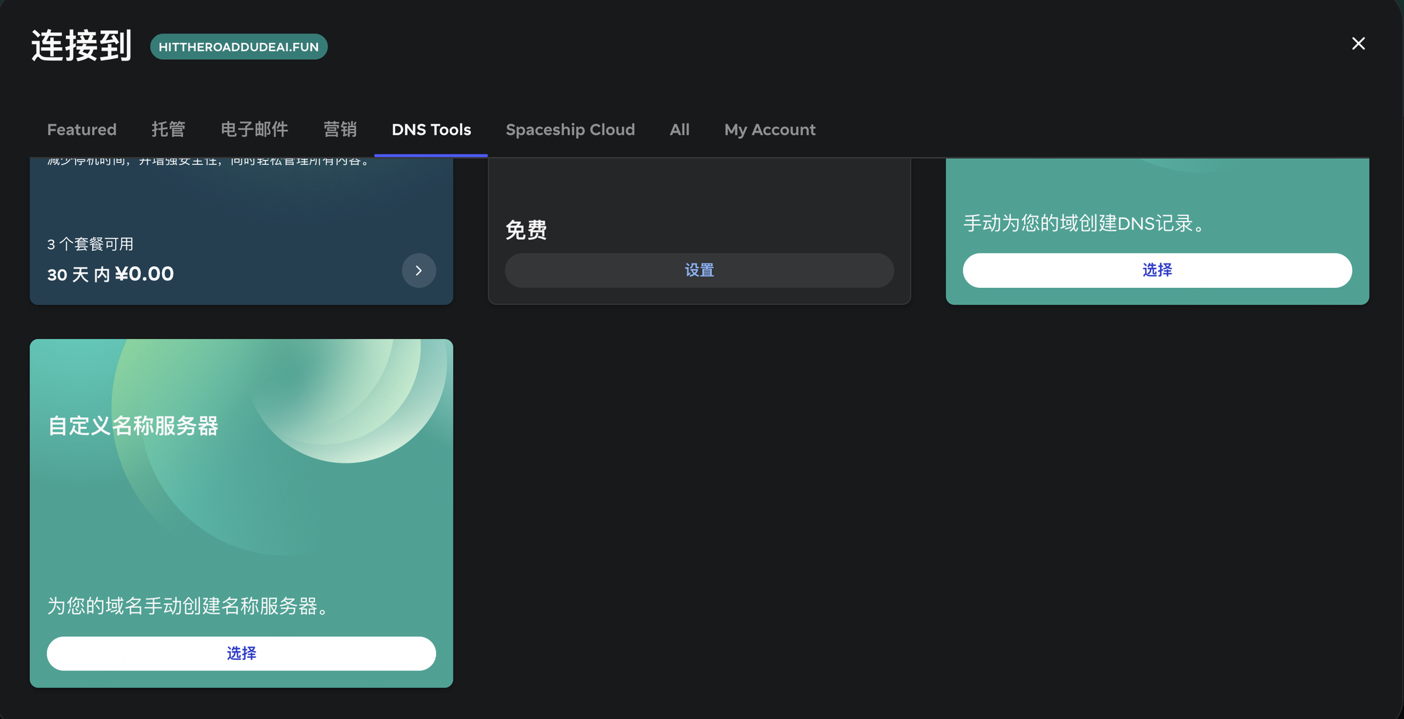 Spaceship DNS Tools 页面,有自定义名称服务器和手动创建 DNS 记录两个选项